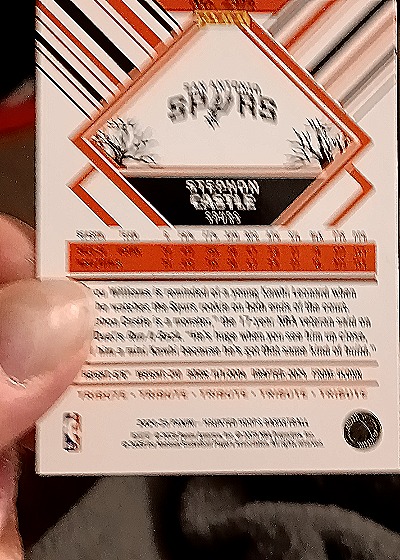 2024-25 Panini NBA Hoops Haunted Hoops #5 Stephon Castle — back