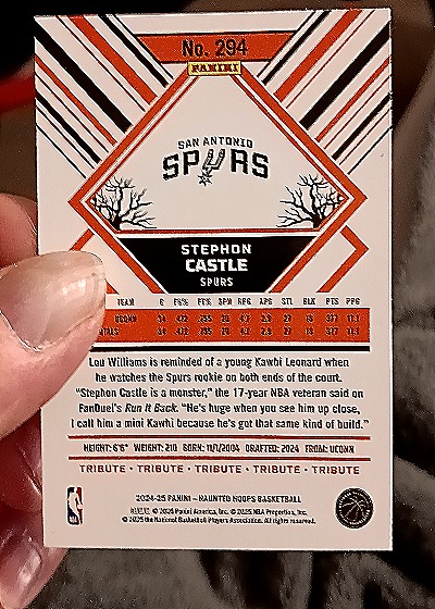 2024 Panini Haunted Hoops #294 Stephon Castle — back