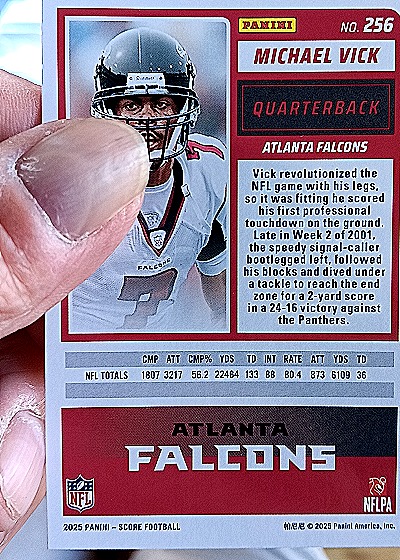 2025 Panini Score #256 Michael Vick — back