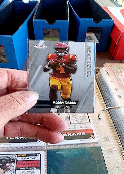 2025 Sage Next Level Woody Marks — front