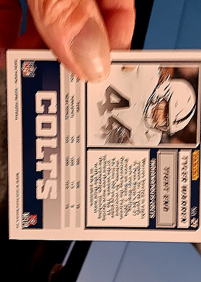 1991 SkyBox #508 Terry Warren — back