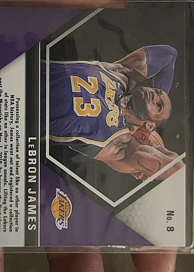 2019-20 Panini Mosaic #8 LeBron James — back