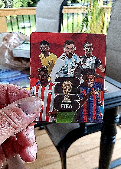 2022 Panini FIFA World Cup #20 Andrés Iniesta — back