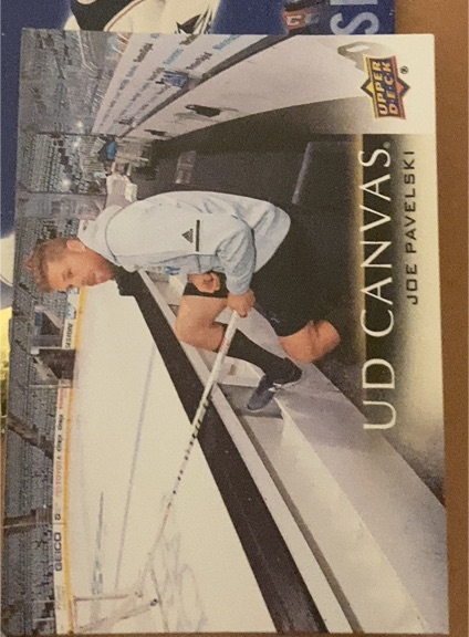 2018-19 Upper Deck Canvas #C66 Joe Pavelski — front