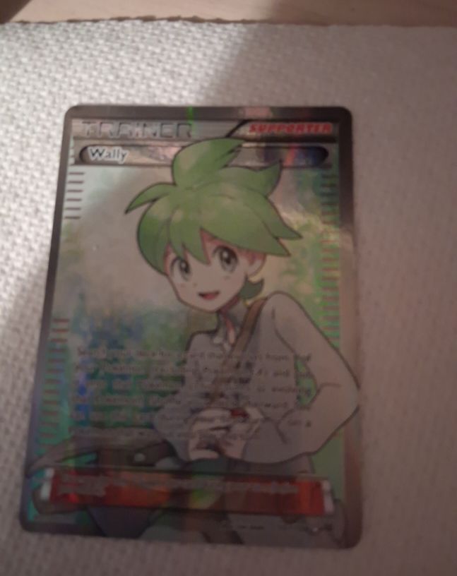 2015 Pokémon XY Roaring Skies #107 Wally Full Art Trainer — front