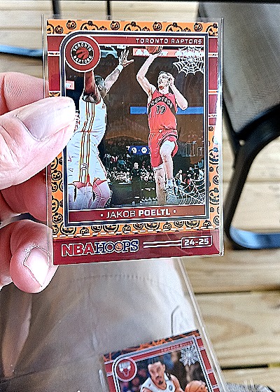 2024-25 Panini Haunted Hoops #24-25 Jakob Poeltl — front