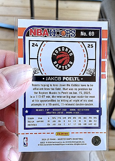 2024-25 Panini Haunted Hoops #24-25 Jakob Poeltl — back