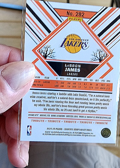2024-25 Panini NBA Hoops #282 LeBron James — back