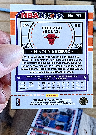 2024-25 Panini NBA Hoops #79 Nikola Vučević — back