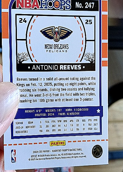2024-25 Panini NBA Hoops #247 Antonio Reeves — back