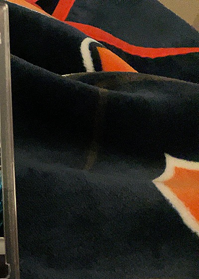 Houston Texans Blanket — front