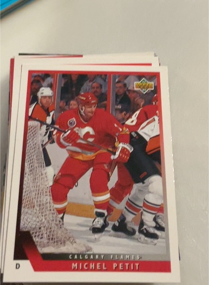 1993-94 Upper Deck #66 Michel Petit — front