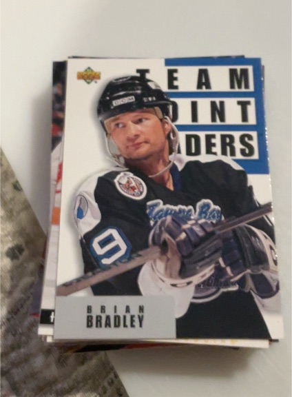 1993-94 Upper Deck #305 Brian Bradley — front