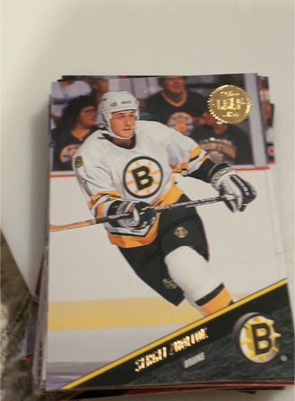 1993-94 Leaf #231 Cam Neely — front