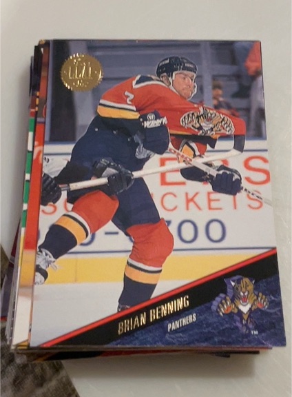 1993-94 Leaf #328 Brian Benning — front