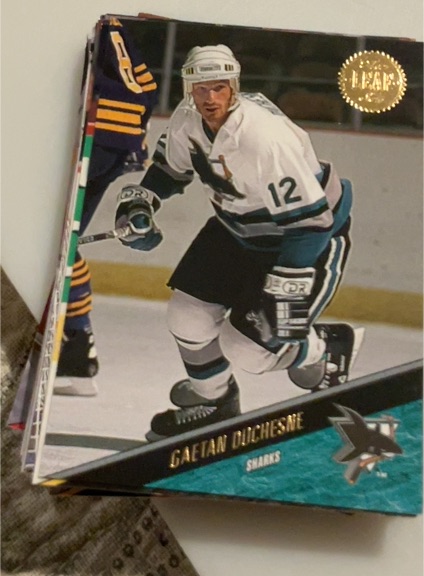 1993-94 Leaf #339 Gaetan Duchesne — front