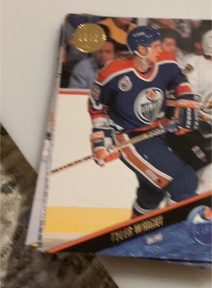 1993-94 Leaf #347 Tyler Wright — front