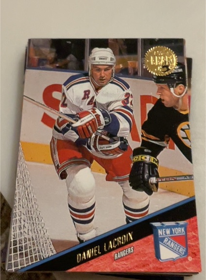 1993-94 Leaf #351 Daniel Lacroix — front