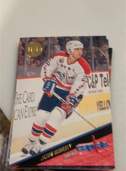 1993-94 Leaf #273 Jason Woolley — front