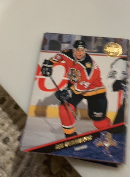 1993-94 Leaf #293 Rob Niedermayer — front