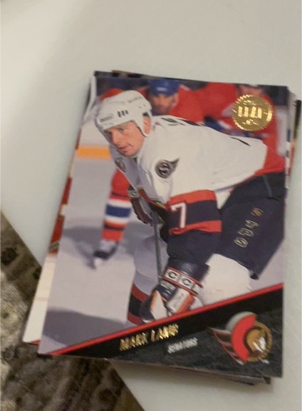 1993-94 Leaf #308 Mark Lamb — front
