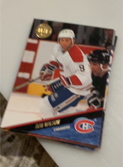 1993-94 Leaf #316 Ron Wilson — front