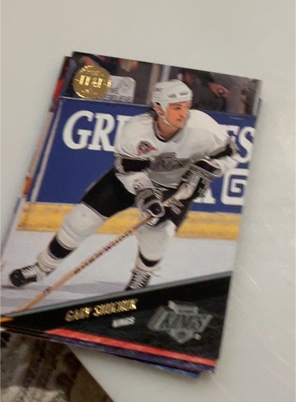 1993-94 Leaf #222 Gary Shuchuk — front