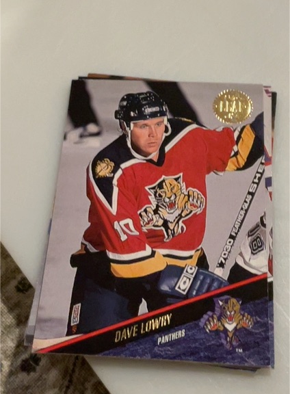 1993-94 Leaf #238 Dave Lowry — front