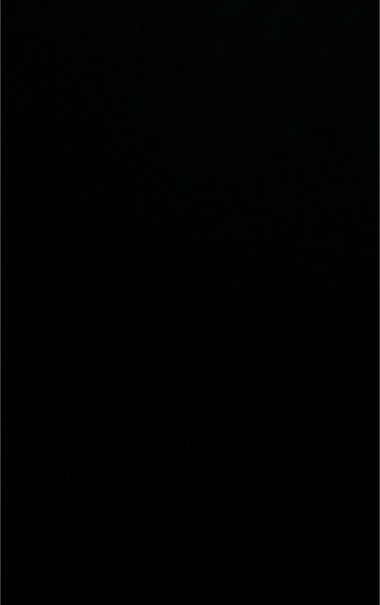 Pikachu Pokemon Card — front