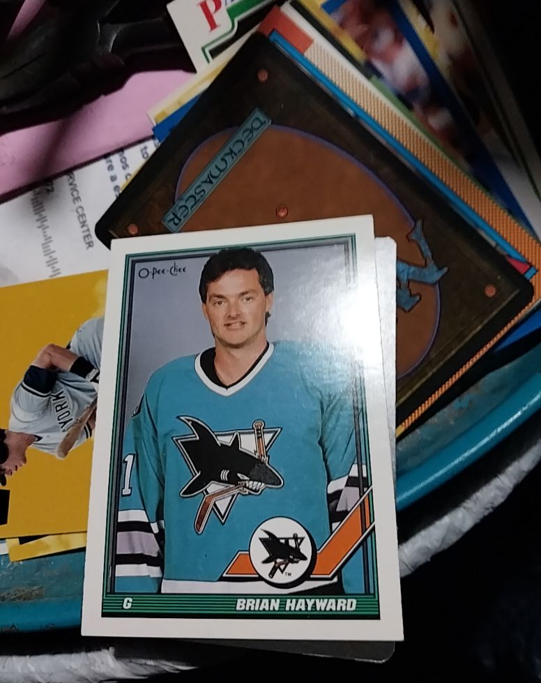 1991-92 O-Pee-Chee #178 Brian Hayward — front