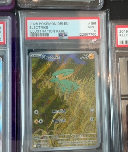 2025 Pokémon Destined Rivals #196 Electrike Illustration Rare — front