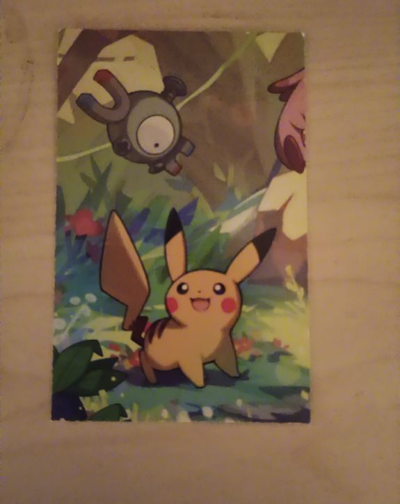 2011 Pokemon Center Mysterious Forest Pikachu Art Card — front
