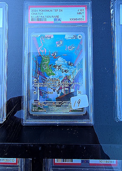 2024 Pokemon Temporal Forces #181 Chatot Illustration Rare — front