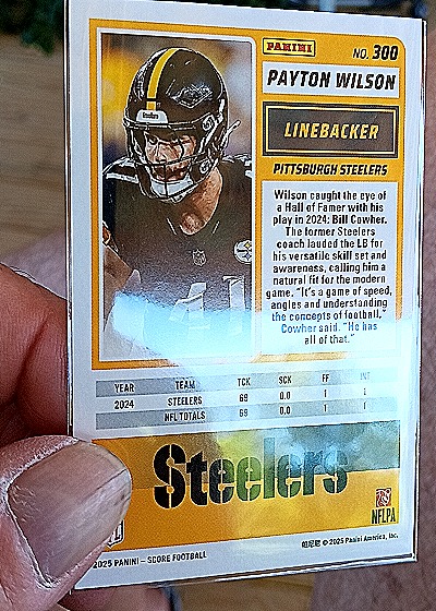 2025 Panini Score #180 George Pickens — back