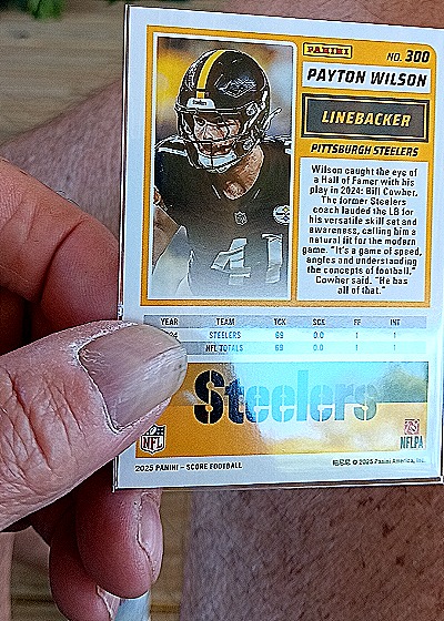 2025 Panini Score #300 Payton Wilson — back