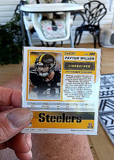2025 Panini Score #300 Payton Wilson — back