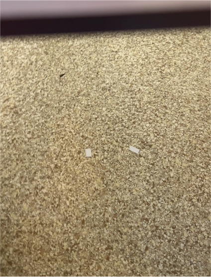 Lloyd Carpet Floor Mat Color Samples (2"x1") — front