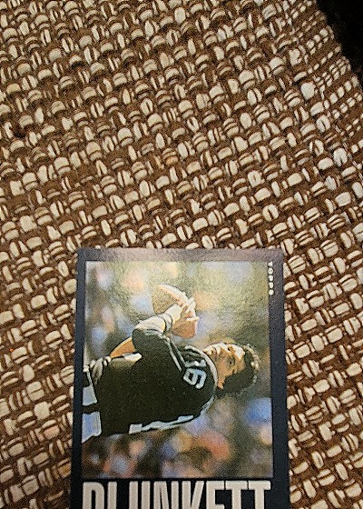1982 Topps #263 Jim Plunkett — front