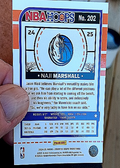 2024-25 Panini Haunted Hoops #202 Naji Marshall — back