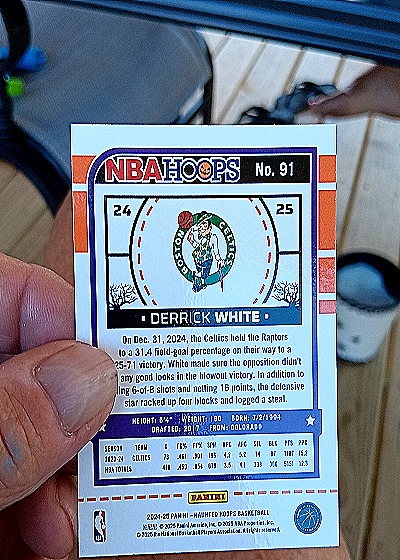 2024-25 Panini NBA Hoops #91 Derrick White — back