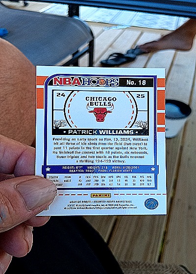 2024-25 Panini NBA Hoops #18 Patrick Williams — back