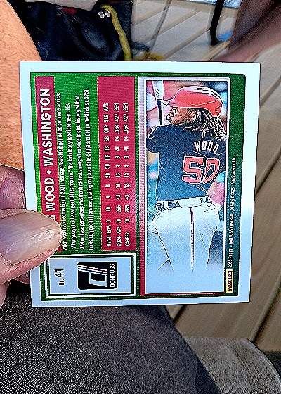 2025 Donruss #41 James Wood — back