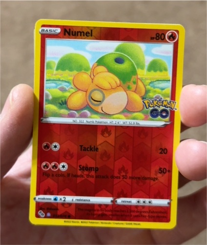 2022 Pokémon GO #013 Numel — front