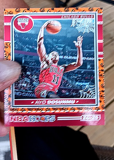 2024-25 Panini NBA Hoops #171 Ayo Dosunmu — front