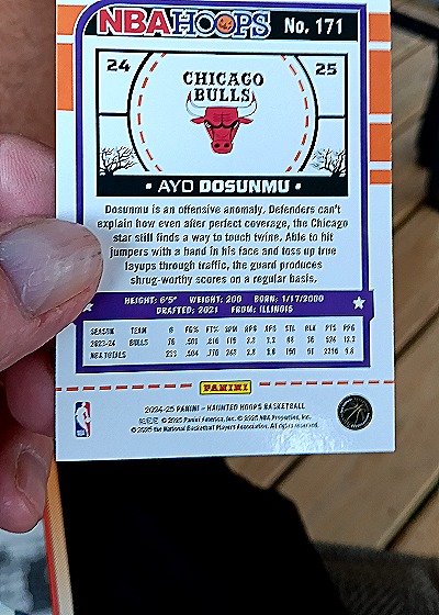 2024-25 Panini NBA Hoops #171 Ayo Dosunmu — back