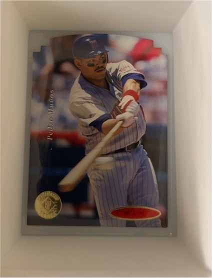 1995 Upper Deck SP Championship #117 Pedro Munoz — front