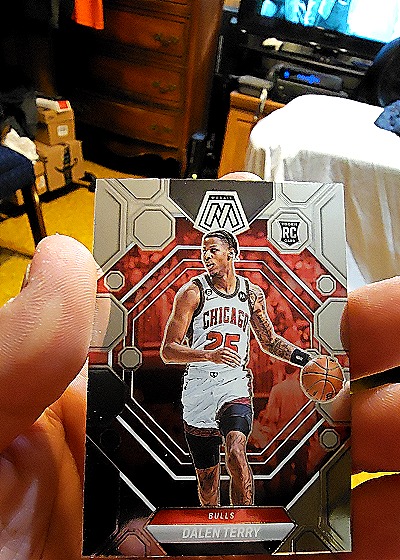 2022-23 Panini Mosaic Rookies #282 Dalen Terry — front