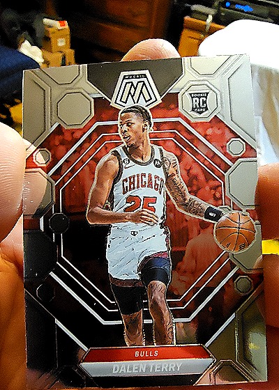 2022-23 Panini Mosaic #209 Dalen Terry — front