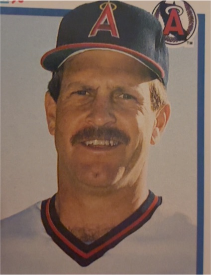 1990 Fleer Baseball #142 Dan Petry — front