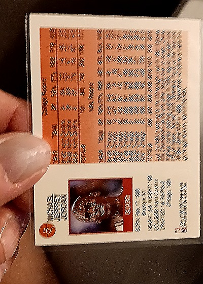 1991 NBA Hoops #17 Michael Jordan — back